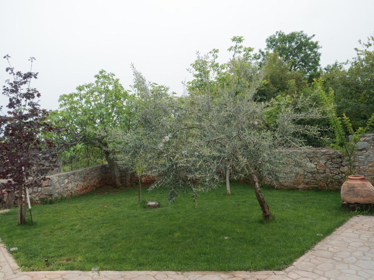 Vintage Stone-Built Country Cottage In Richea Kouloureika Екстериор снимка